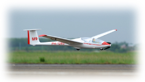 Planador Phoenix ASK-21 Electric 3,2m 125,9 pol. ARF (Consulte Entrega)