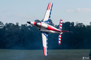 Aeromodelo Bvm Renegade PNP (ALMOUST READY TO FLY)